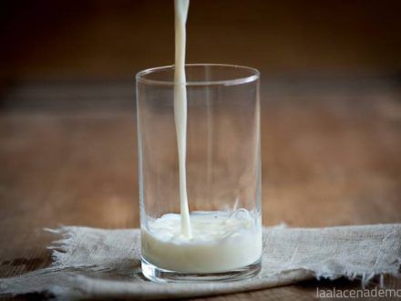 Horchata Thermomix